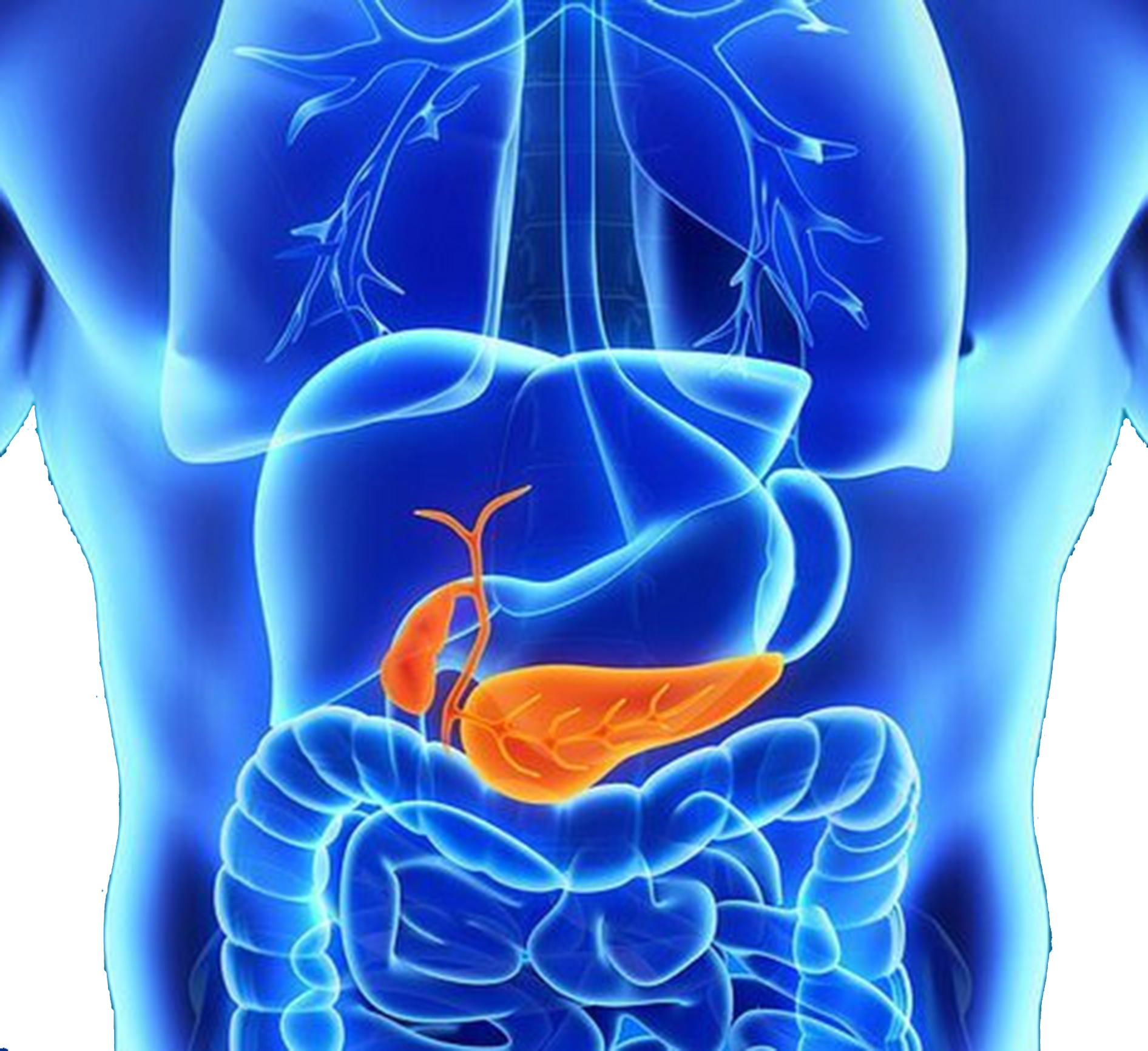 The Hidden Dangers Of Periodontal Disease