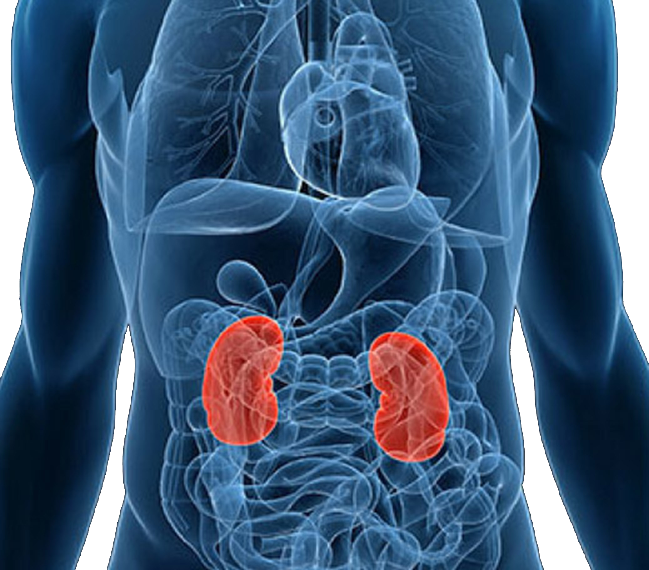 The Hidden Dangers Of Periodontal Disease