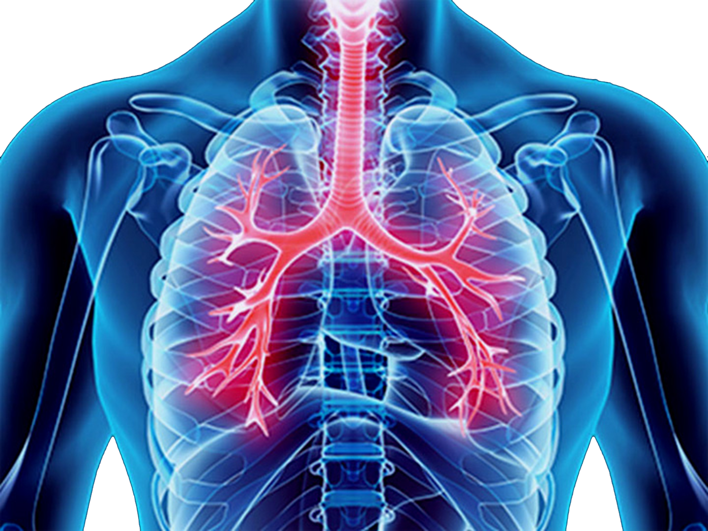 The Hidden Dangers Of Periodontal Disease