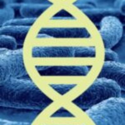 The Human Microbiome